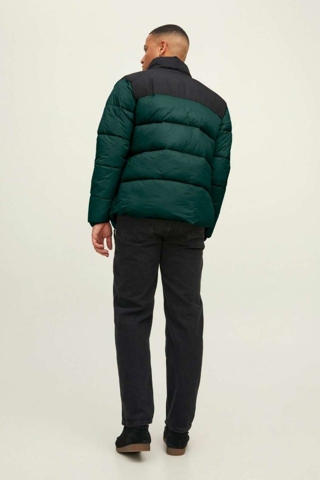 All-Year_3908659_12212218_4-jackjones