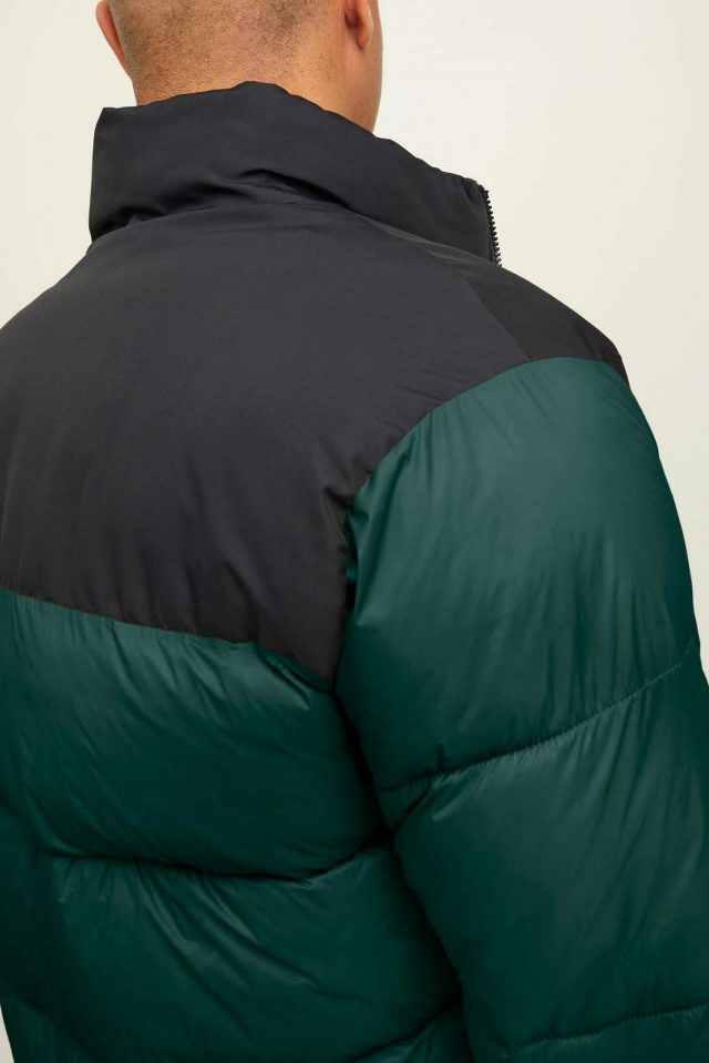 All-Year_3908659_12212218_6-jackjones