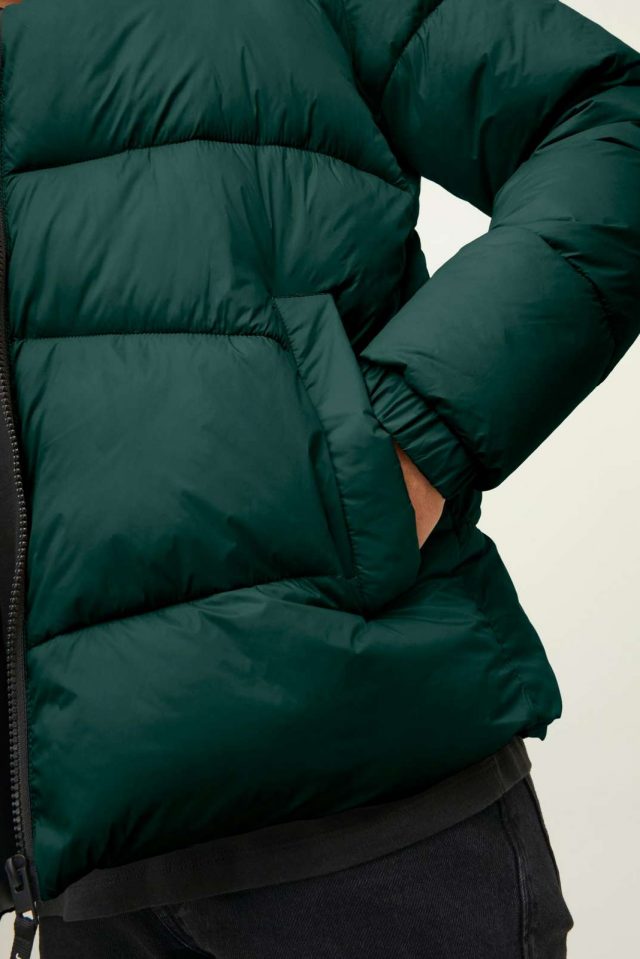 All-Year_3908659_12212218_7-jackjones