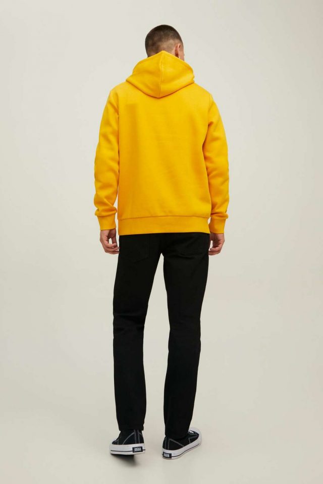 AutumnWinter_4026287_12219670_3-jackjones