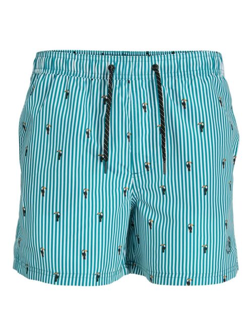 JPSTFIJI JJSWIM MINI STRIPE LY Deep Lake