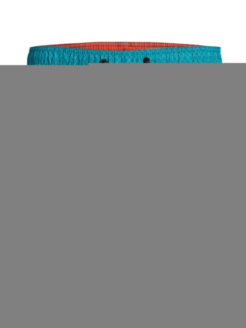 JPSTFIJI JJSWIM  BRANDED MINI Deep Lake