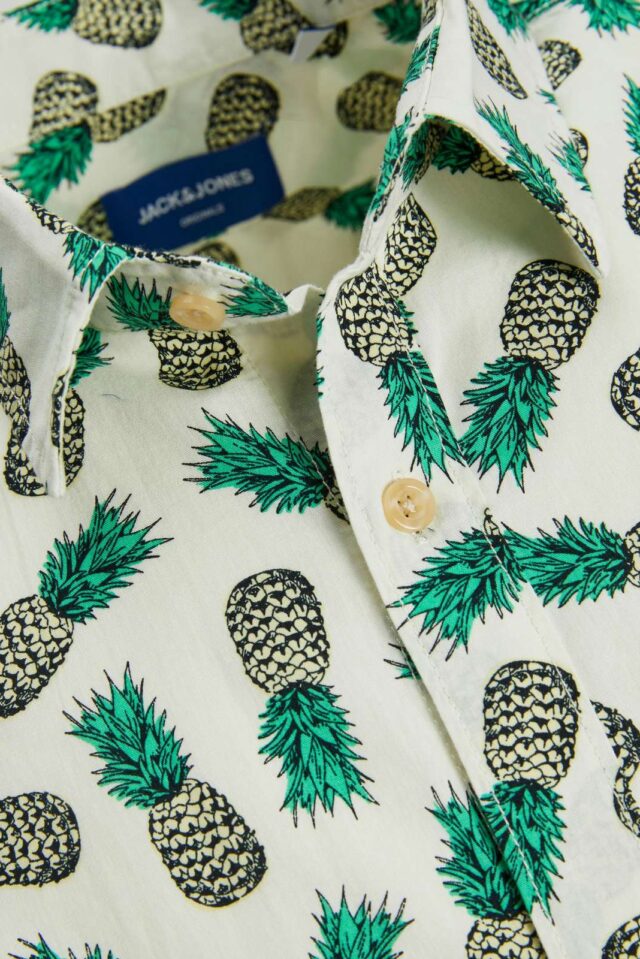 Springsummer_4200903_12233538_2-jackjones