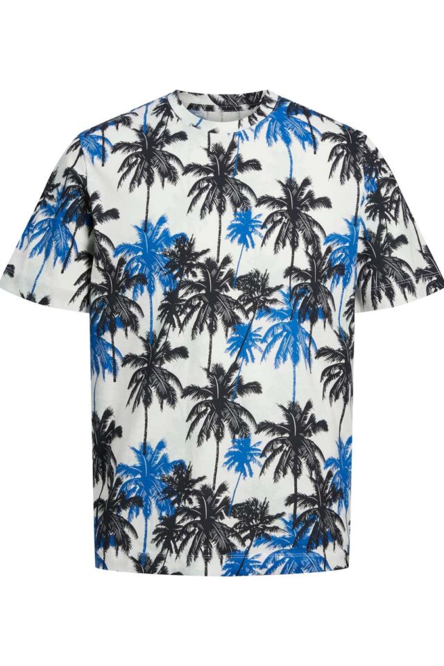 Springsummer_4208148_12234211-jackjones