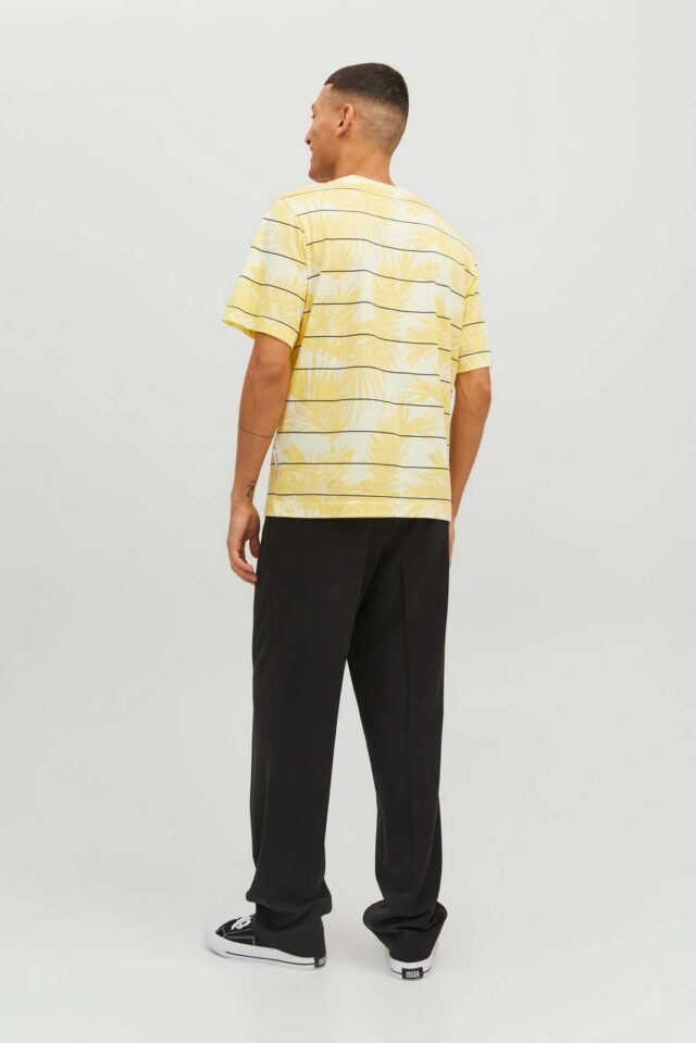 Springsummer_4219746_12235191_2-jackjones