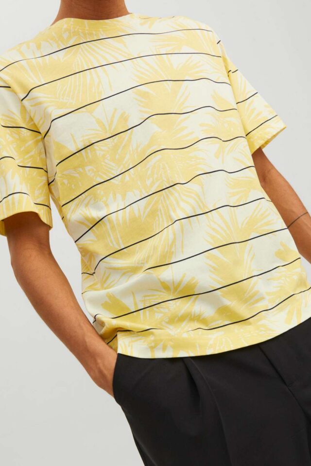 Springsummer_4219746_12235191_3-jackjones