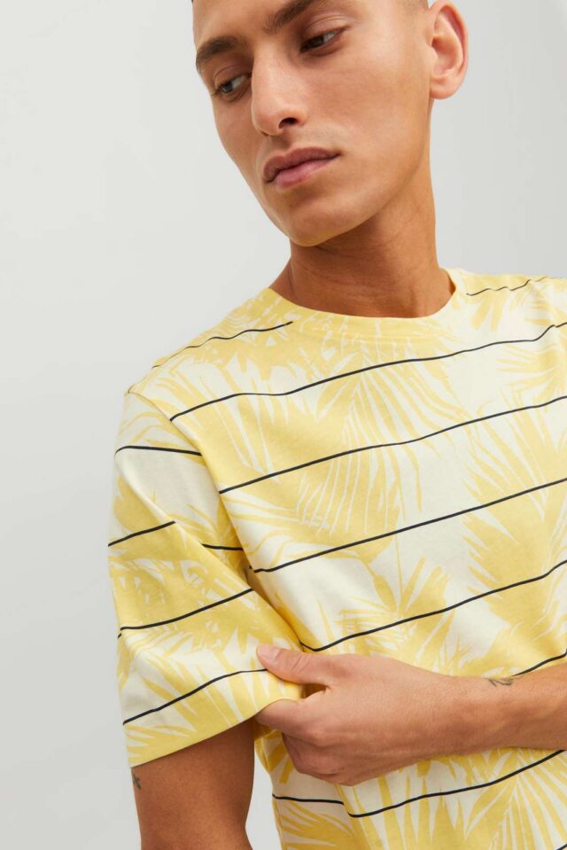 Springsummer_4219746_12235191_4-jackjones