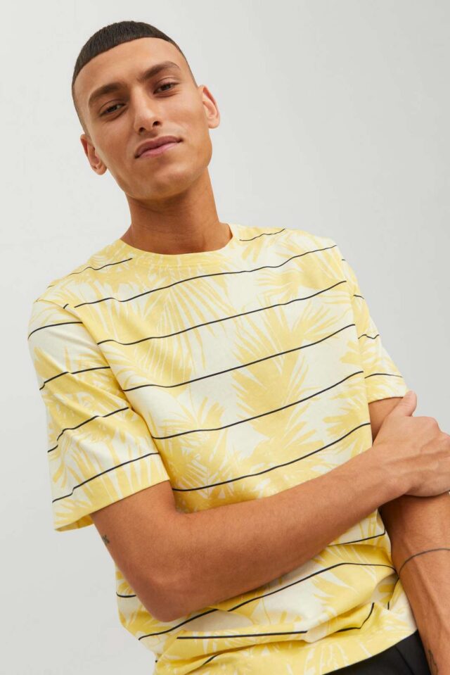 Springsummer_4219746_12235191_5-jackjones