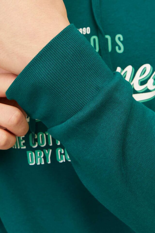 JJELOGO SWEAT HOOD 2 COL 24/25 NOOS