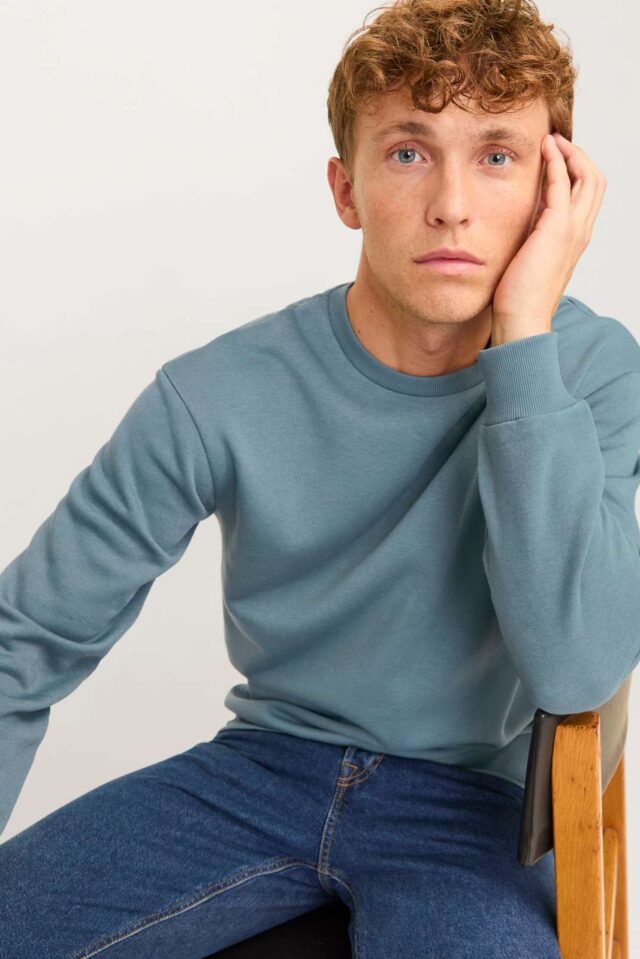 JJEBRADLEY SWEAT CREW NOOS