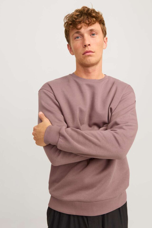 JJEBRADLEY SWEAT CREW NOOS