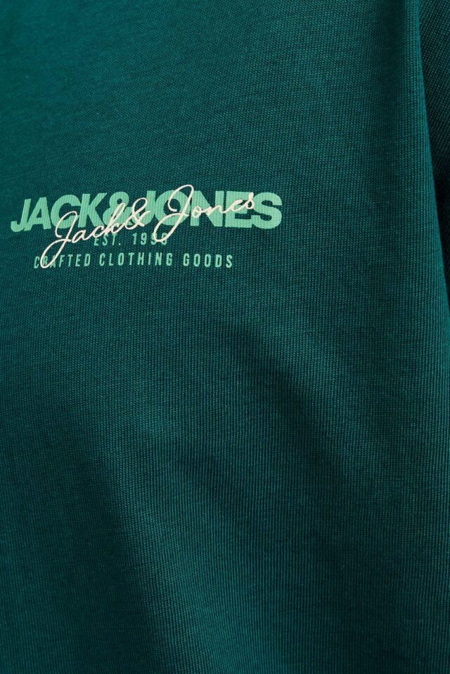 JJALVIS TEE LS CREW NECK