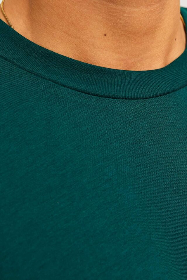 JJALVIS TEE LS CREW NECK