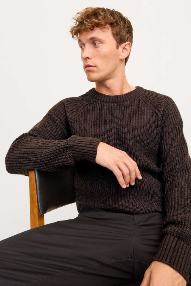 JJJONES KNIT CREW NECK