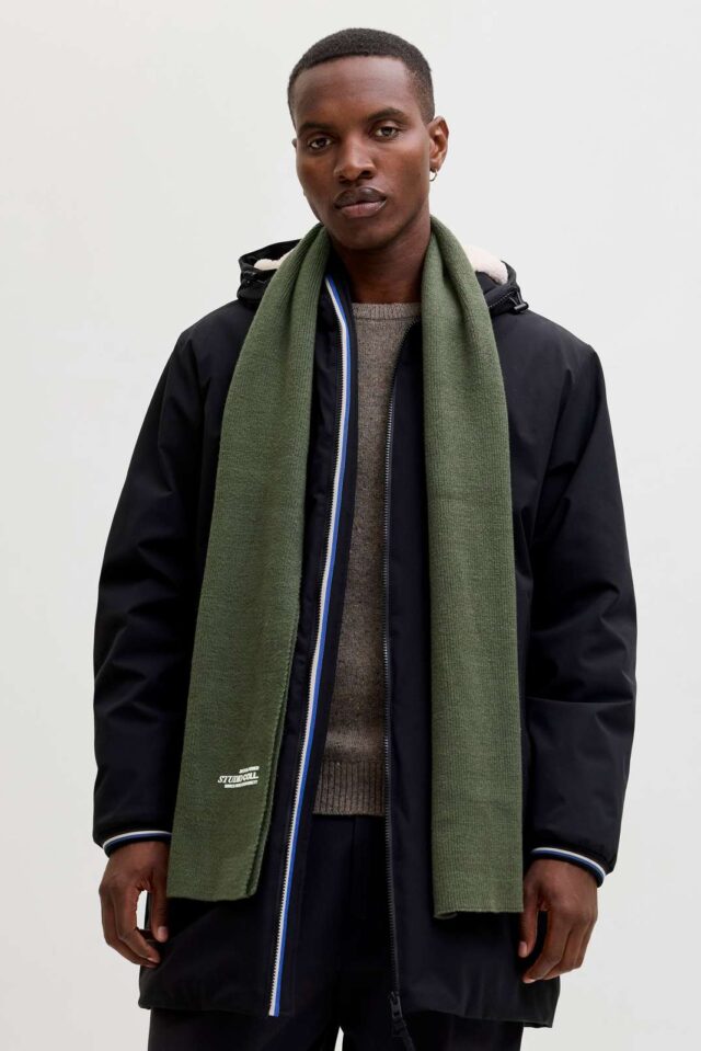 Autumnwinter_4782761_12279648_4-jackjones