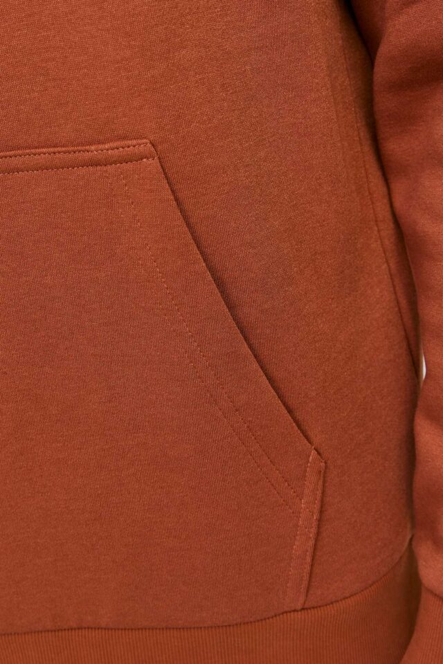 JJEBRADLEY SWEAT HOOD NOOS