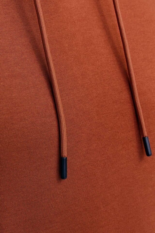 JJEBRADLEY SWEAT HOOD NOOS