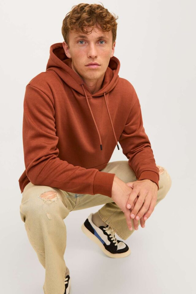 JJEBRADLEY SWEAT HOOD NOOS