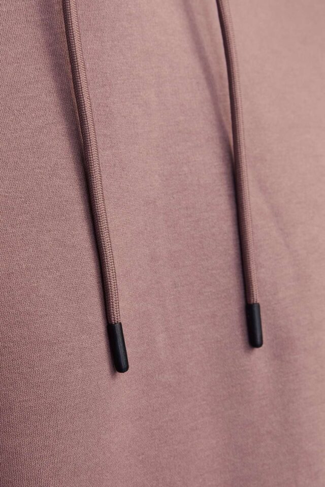 JJEBRADLEY SWEAT HOOD NOOS