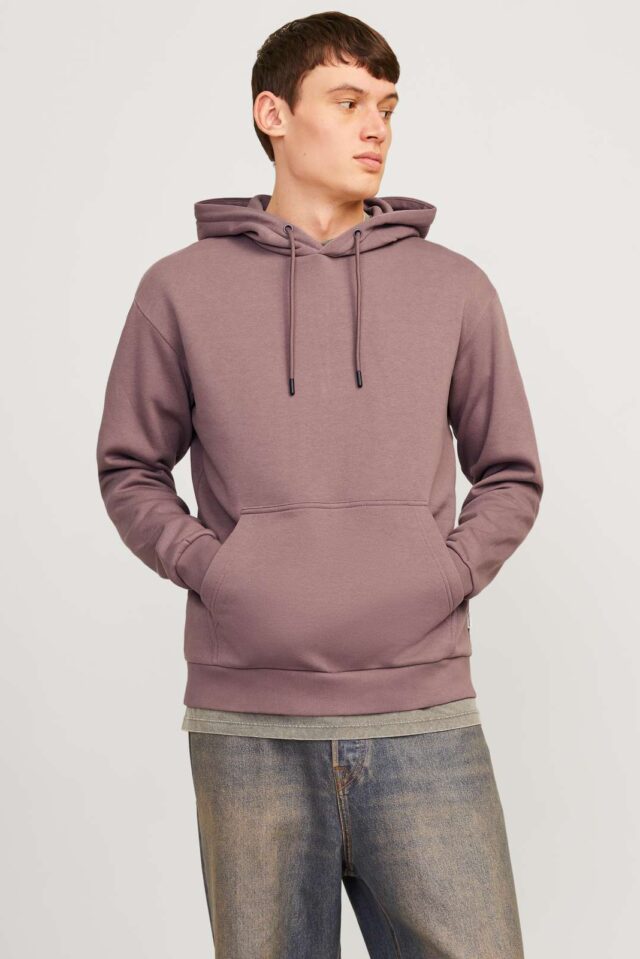 JJEBRADLEY SWEAT HOOD NOOS