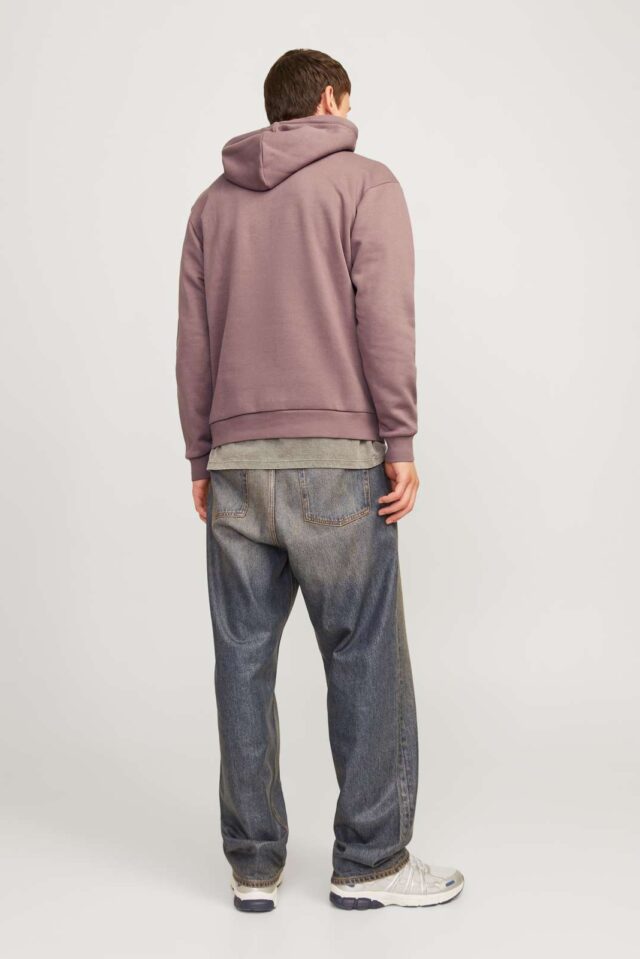 JJEBRADLEY SWEAT HOOD NOOS