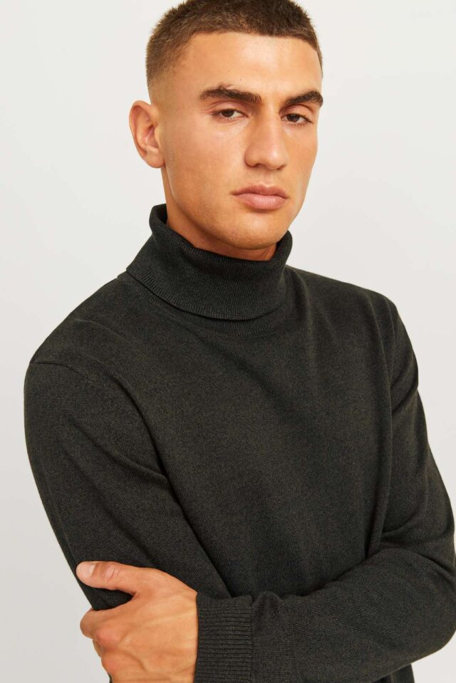 JJEBASIC KNIT ROLL NECK NOOS