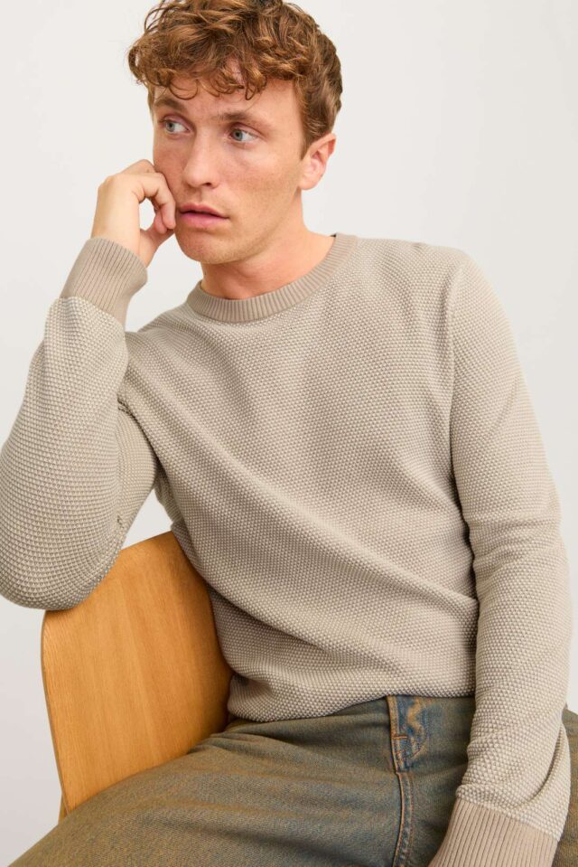 JJEGLOBE KNIT CREW NECK NOOS