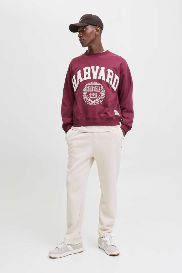 JPSTKANE BRADLEY UNCUFFED SWT PANTS NOOS