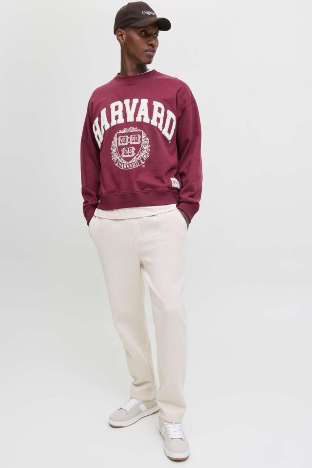 JPSTKANE BRADLEY UNCUFFED SWT PANTS NOOS