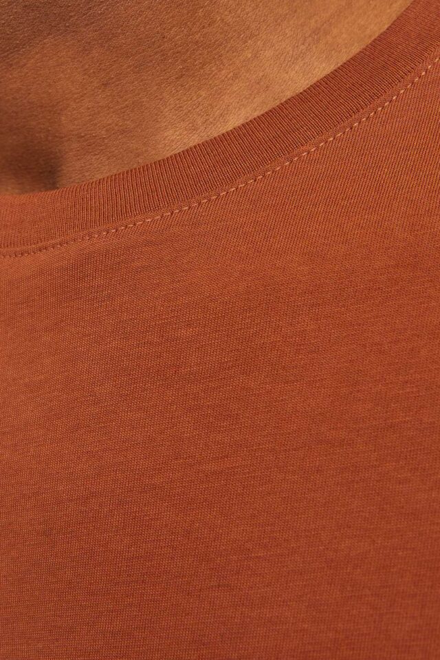 JJEORGANIC BASIC TEE SS O-NECK NOOS
