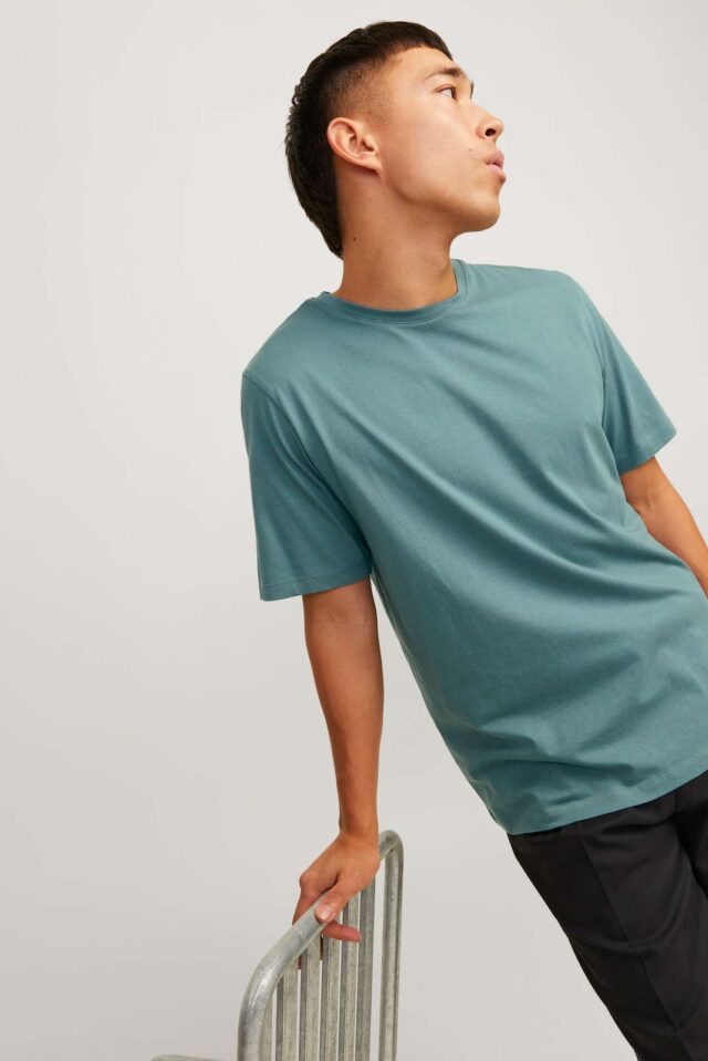 JJEORGANIC BASIC TEE SS O-NECK NOOS