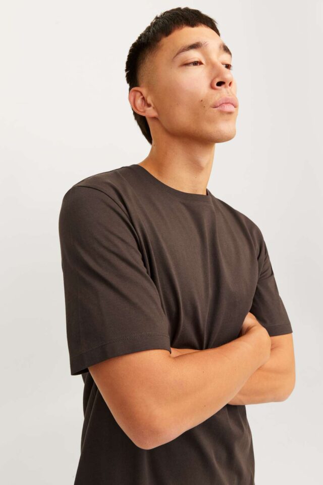 JJEORGANIC BASIC TEE SS O-NECK NOOS