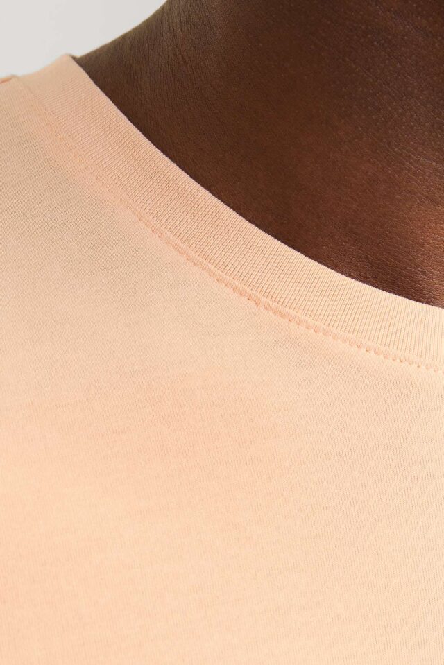 JJEORGANIC BASIC TEE SS O-NECK NOOS