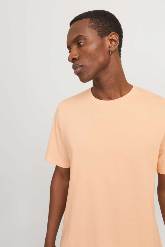 JJEORGANIC BASIC TEE SS O-NECK NOOS