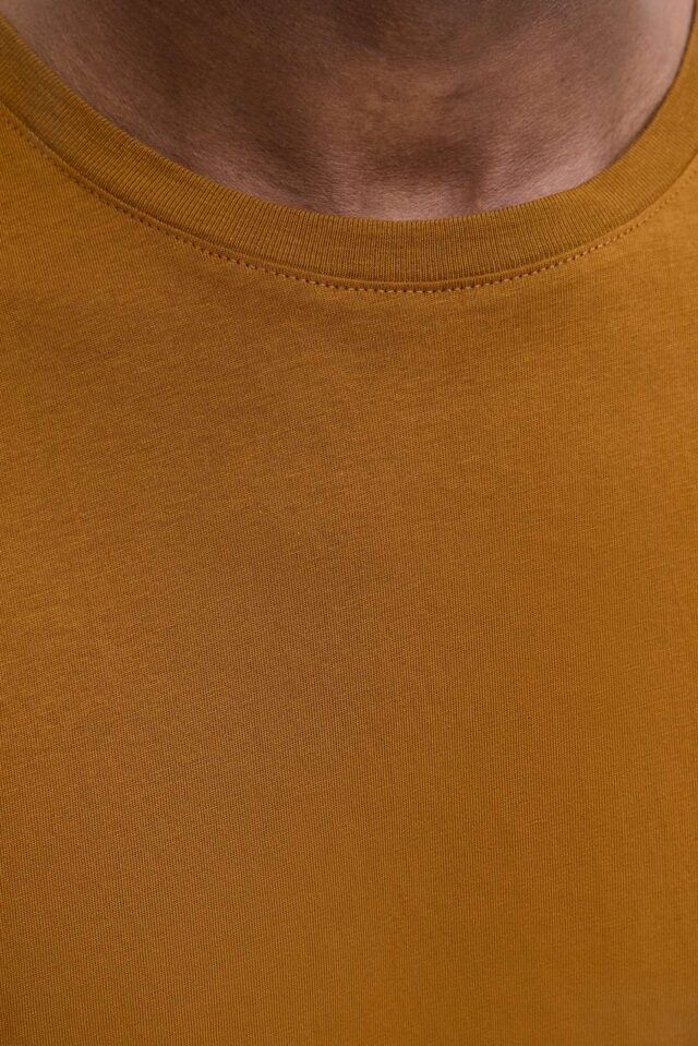 JJEORGANIC BASIC TEE SS O-NECK NOOS