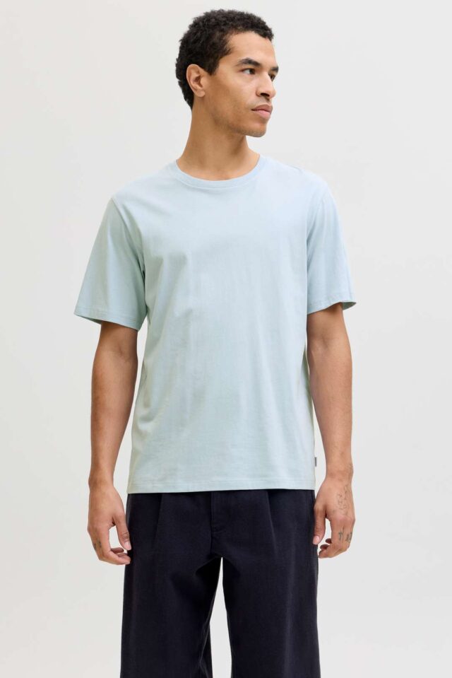 JJEORGANIC BASIC TEE SS O-NECK NOOS