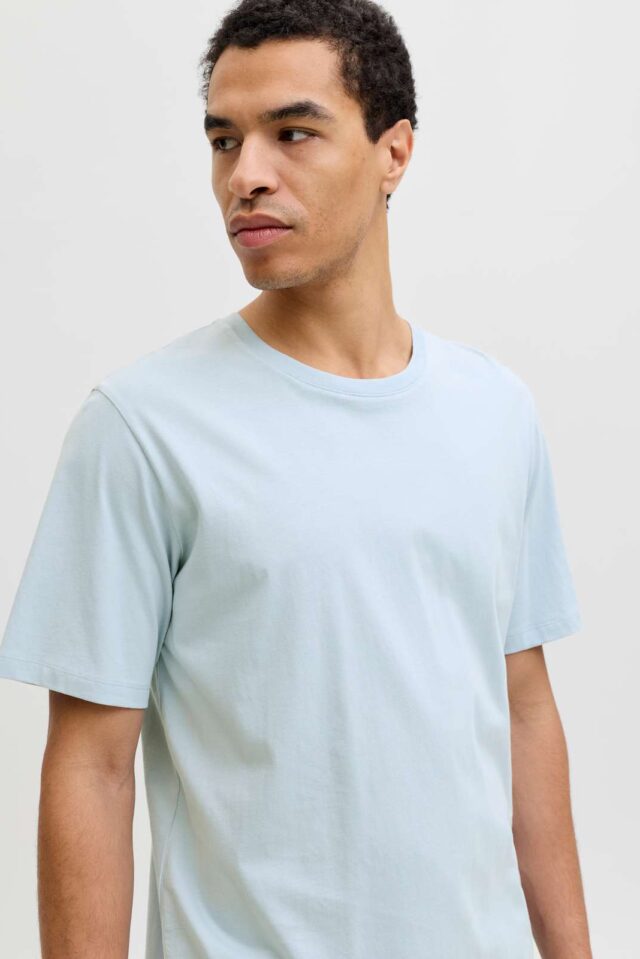 JJEORGANIC BASIC TEE SS O-NECK NOOS