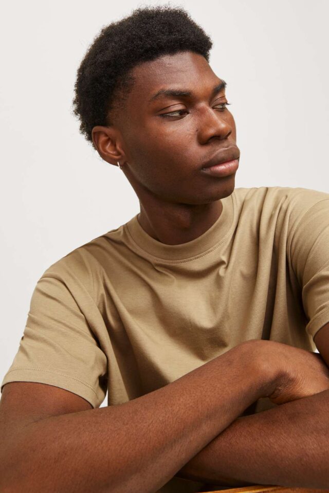 JJEBRADLEY TEE SS O-NECK NOOS