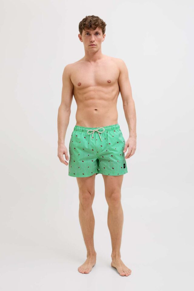JPSTMAUI JJSWIM MINI STRIPE AKM SN