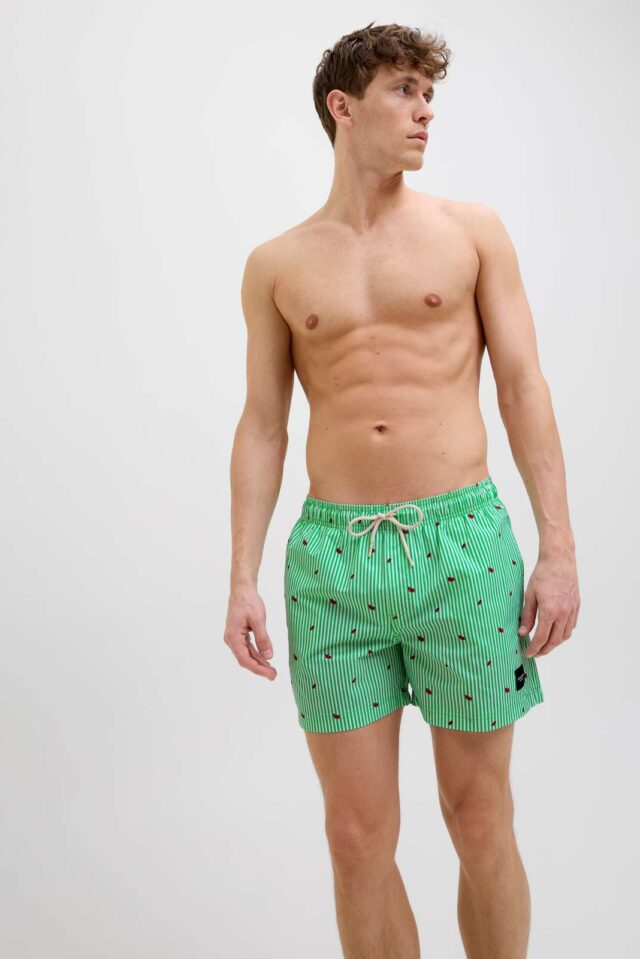 JPSTMAUI JJSWIM MINI STRIPE AKM SN