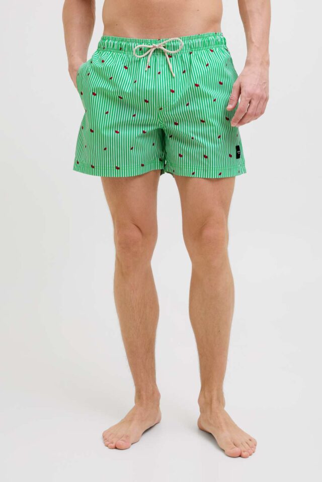 JPSTMAUI JJSWIM MINI STRIPE AKM SN