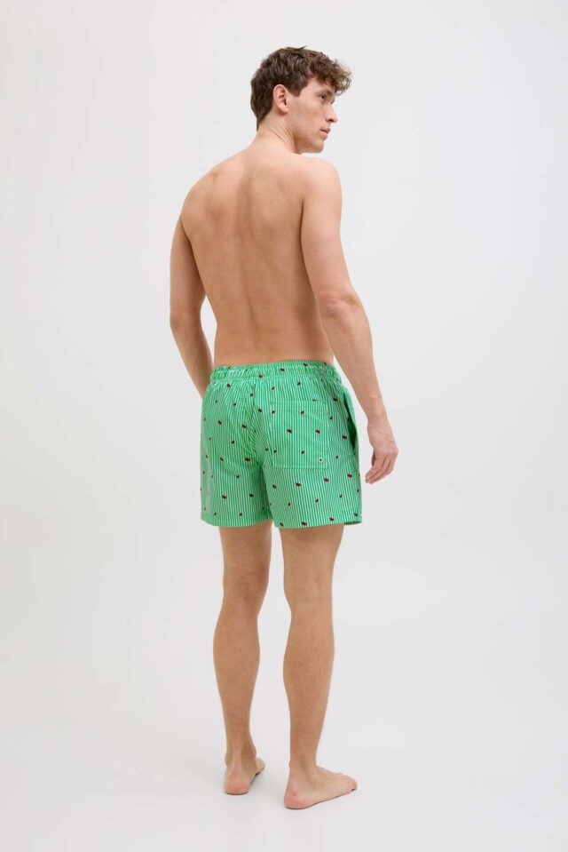 JPSTMAUI JJSWIM MINI STRIPE AKM SN