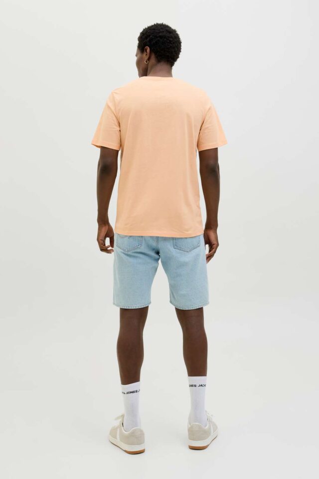 JJBARBADOS TEE SS CREW NECK