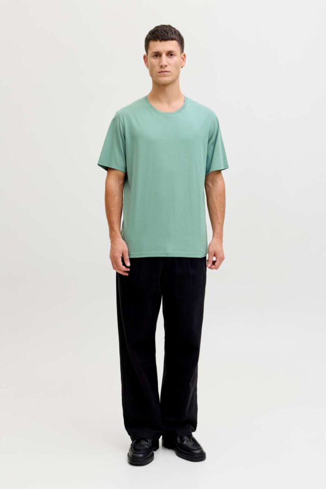 JJEORGANIC BASIC TEE SS O-NECK NOOS