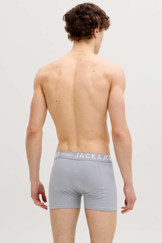 Springsummer_4901647_12081832_4-jackjones