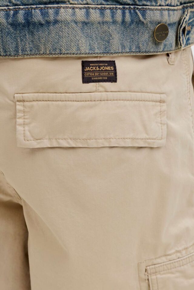 JPSTCOLE FRANK CARGO SHORTS MID SN