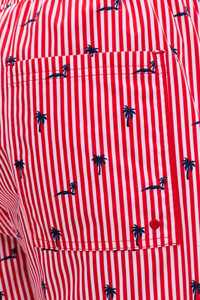 JPSTMAUI BREEZE MINI STRIPE SWIM SRT SN