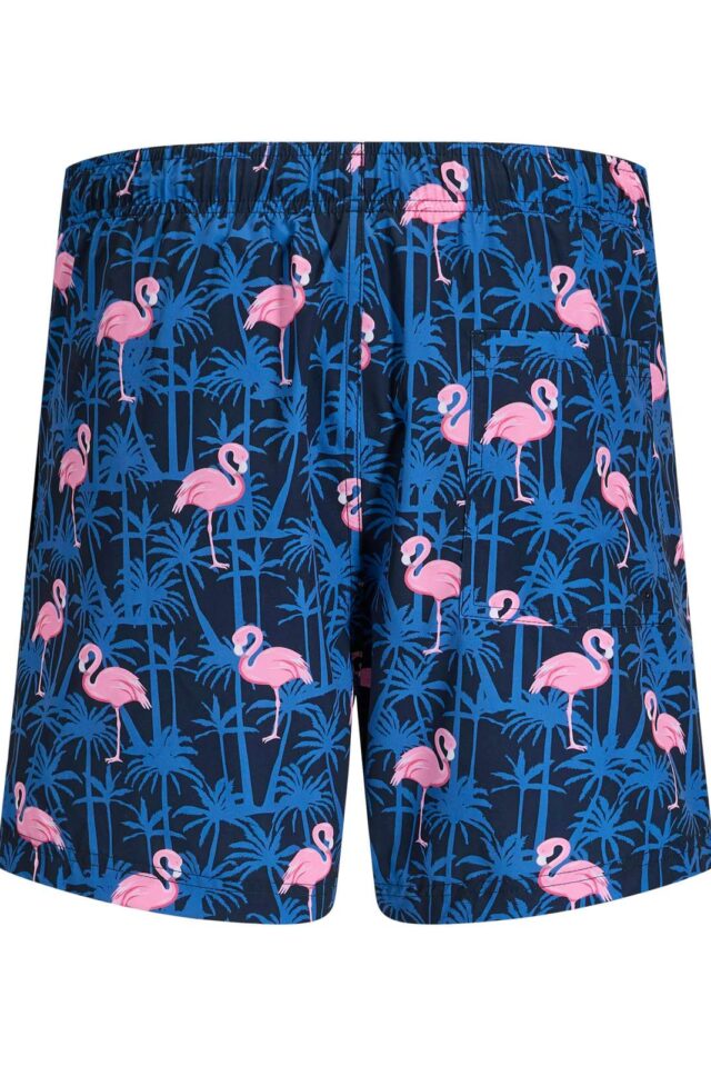 Springsummer_4938133_12291426_2-jackjones