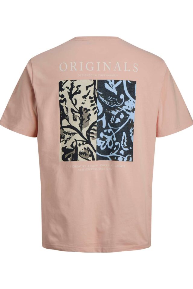 Springsummer_4944370_12292148_2-jackjones