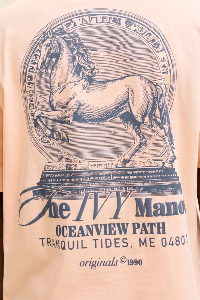 JORMAINE BACK TEE SS CREW NECK SN